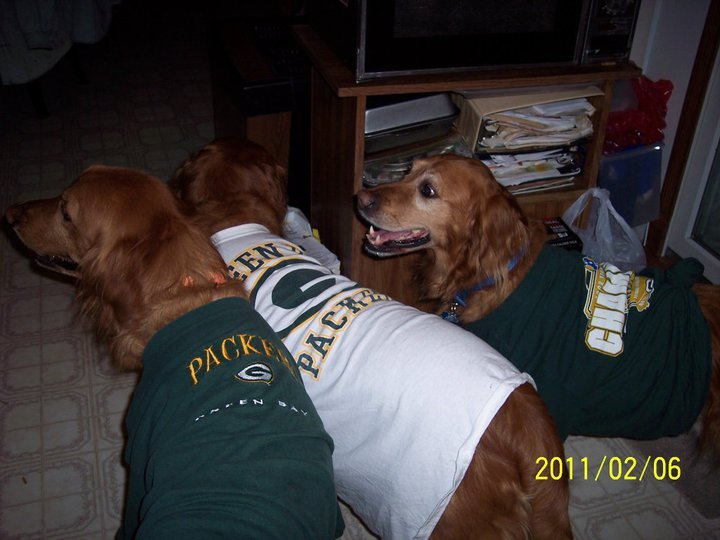 Janet Lampton's album, superbowl packerbackers
