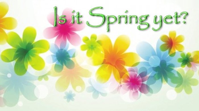 Pam Huss' album, Cover Photos
