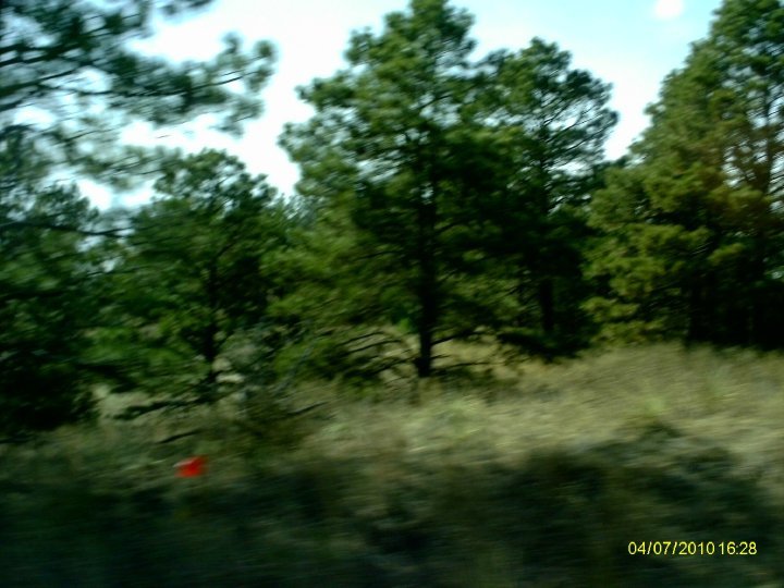 Douglas Heller's album, SpringBreak 2010 - Day 3