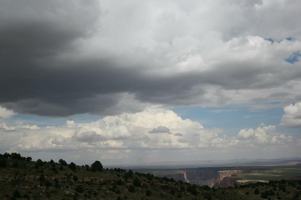 Florence Barron's album, Arizona Vacation 2012