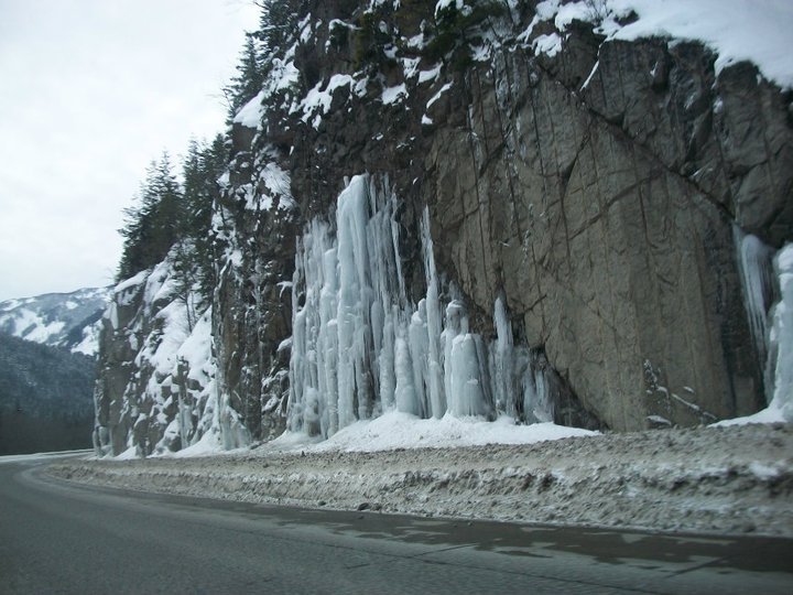 Cindi Herres' album, January 15, 2011
