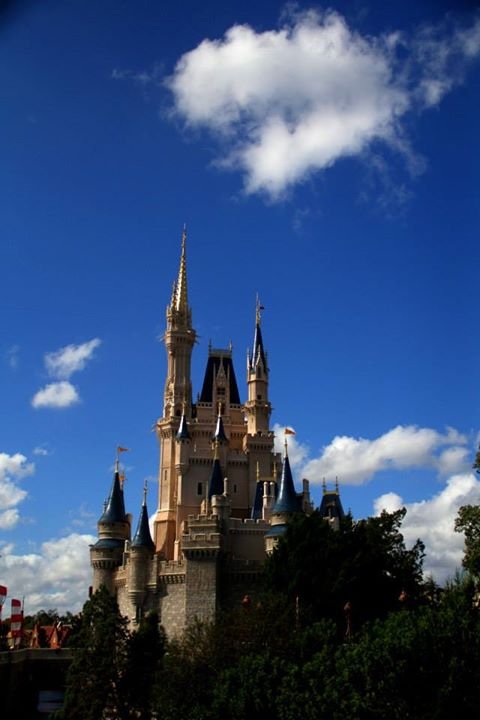Rick Fox's album, Day 2 at Disneyworld