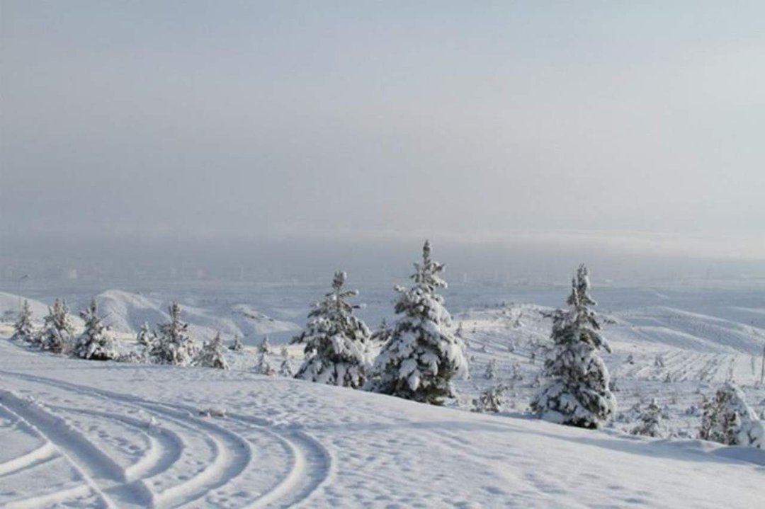 Bill Leaf's album, Snowy Kopet Dag - March 8, 2013