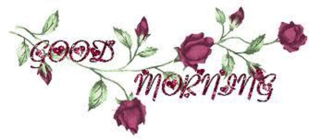 Dawn Sarno's album, Timeline Photos