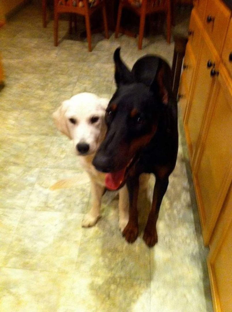 Nancy Rouse's album, Cooper and Friends