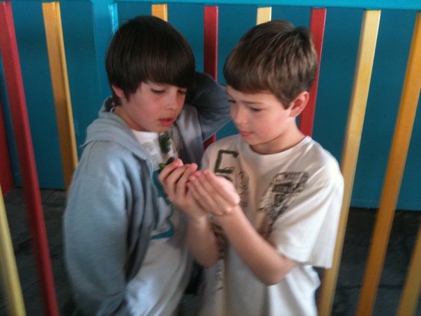 Scott Huerter's album, Disney 2010