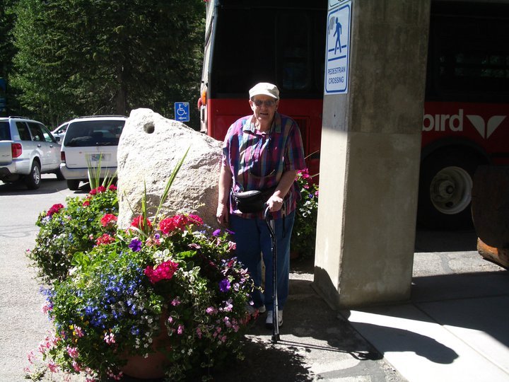 Joyce Baxter's album, Summer 2011