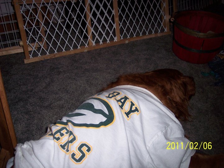 Janet Lampton's album, superbowl packerbackers