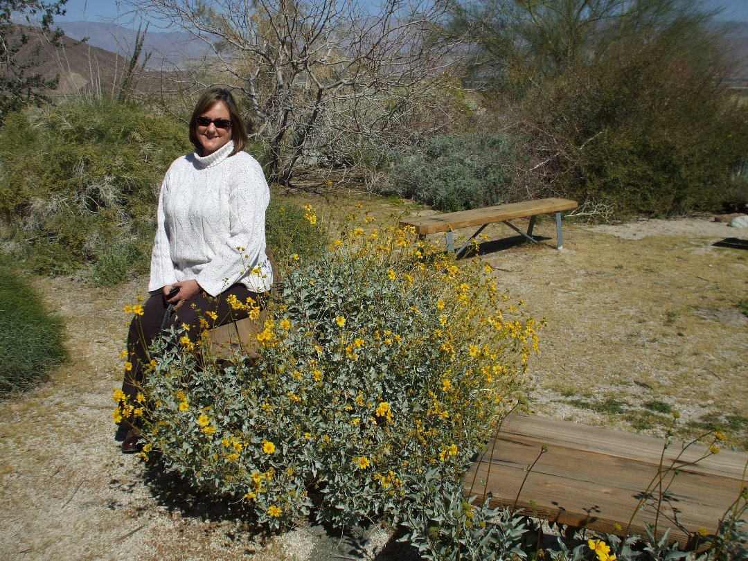 Barbara Webb's album, Anza Borrego 2011