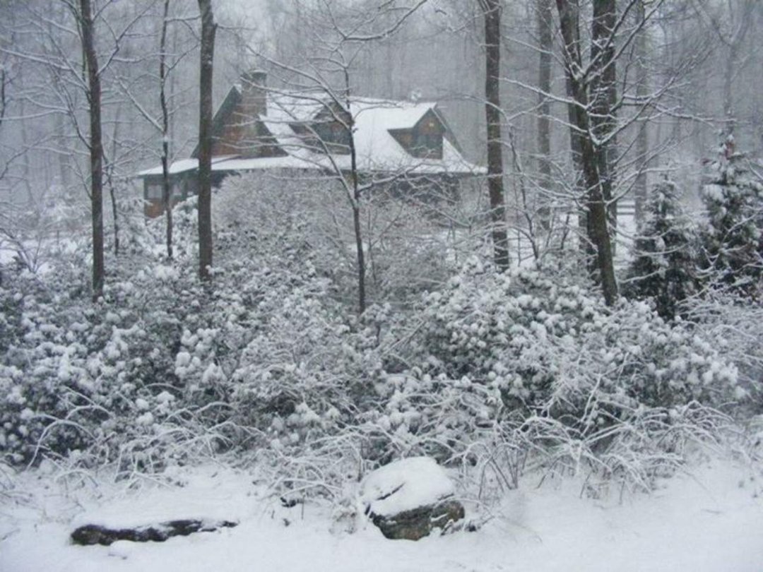 Larry Lovering's album, Snow on Leap Day
