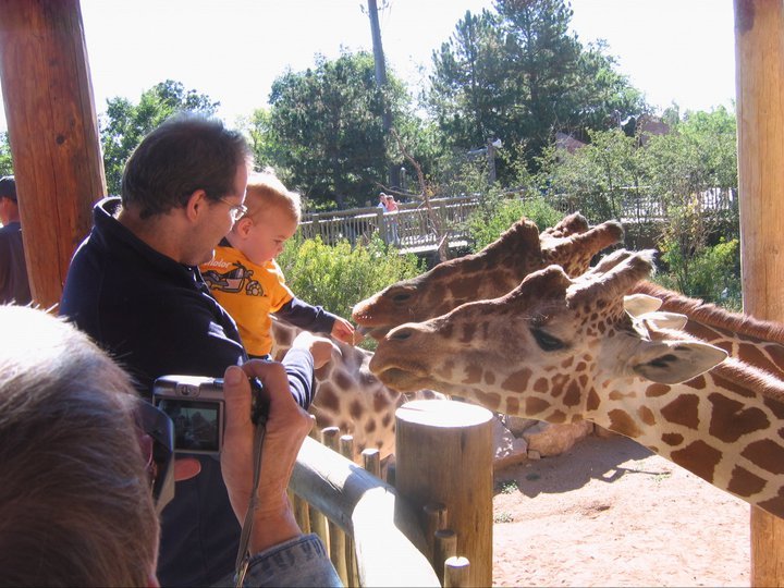 Ken Cain's album, Keaghan at the Zoo