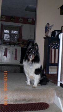 Brian Barker's album, Family pictures