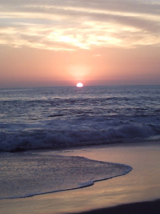 David Damiani's album, March 31, 2011