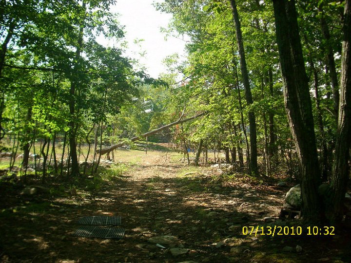 Michael Smith's album, disc golf on massanutten mt.