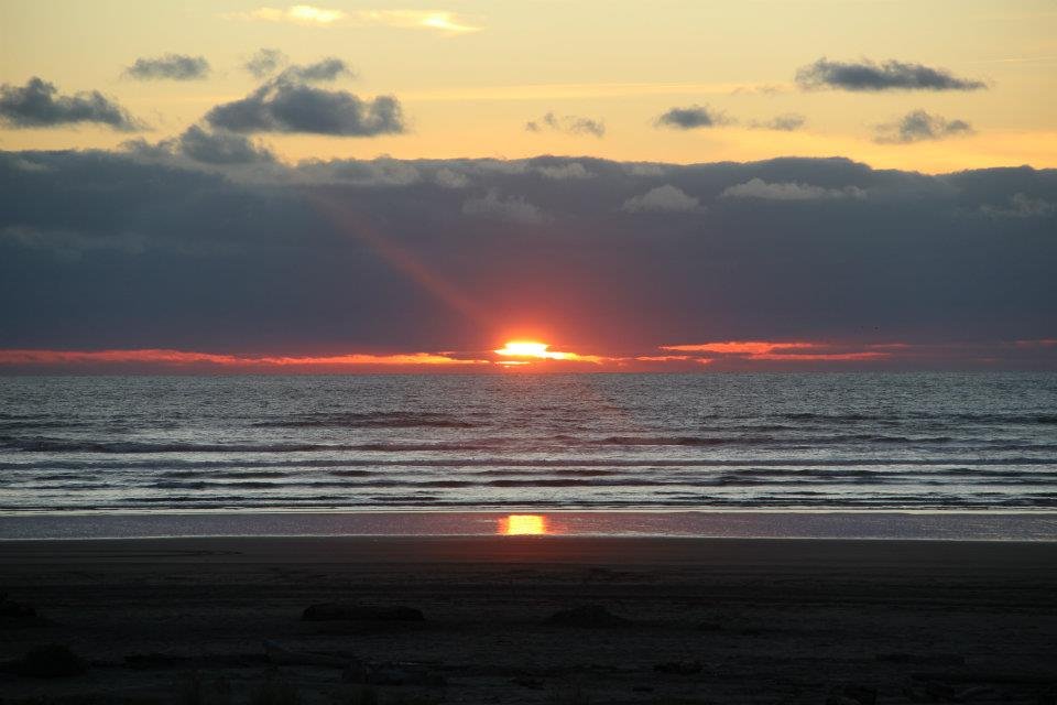 Sarah Steele's album, November 17, 2011