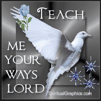 James Howe's album, Faith for today Photos