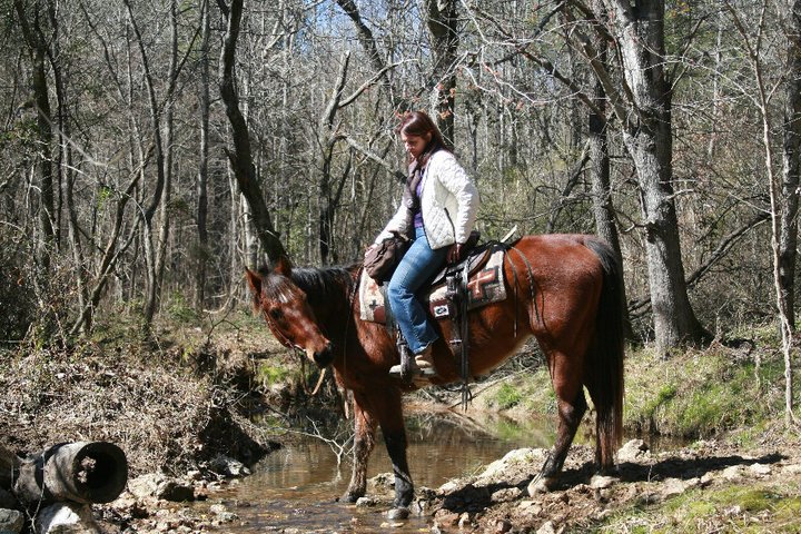 Brooke Stillwell's album, Cover Photos
