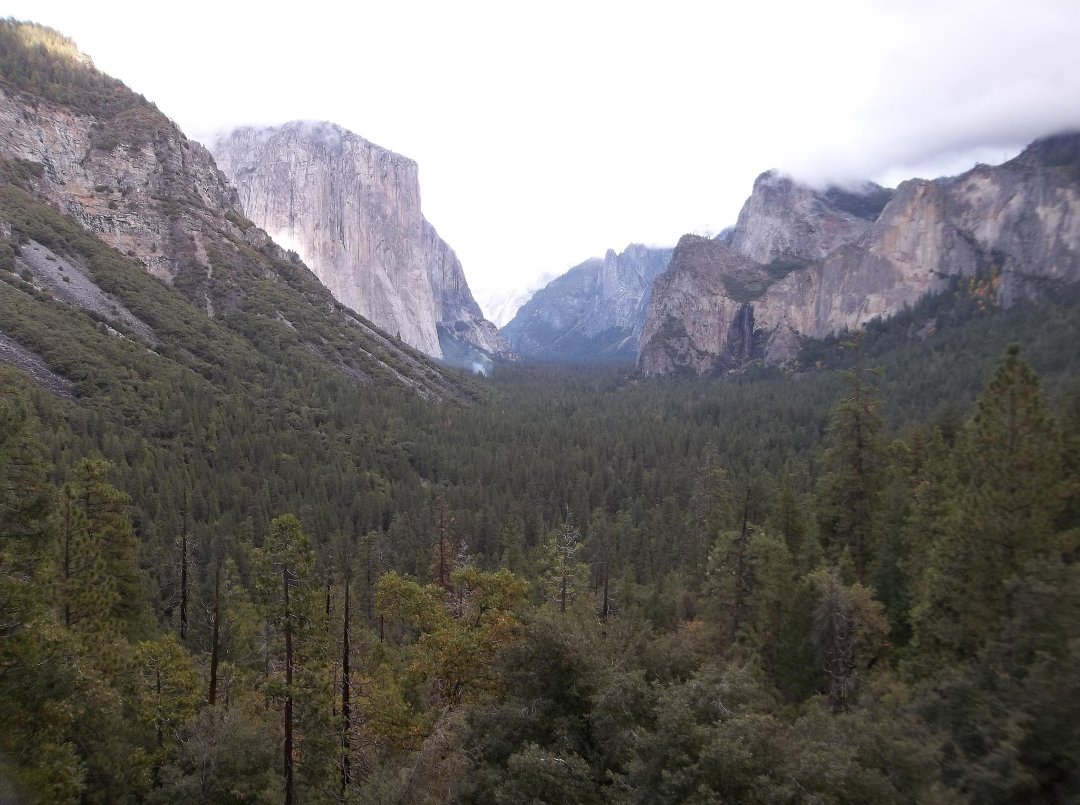 Donna Krittenbrink's album, Cover Photos