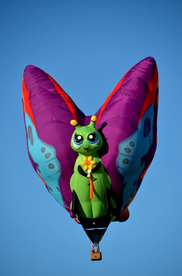 Ray Pohl's album, Balloon Fiesta 2011