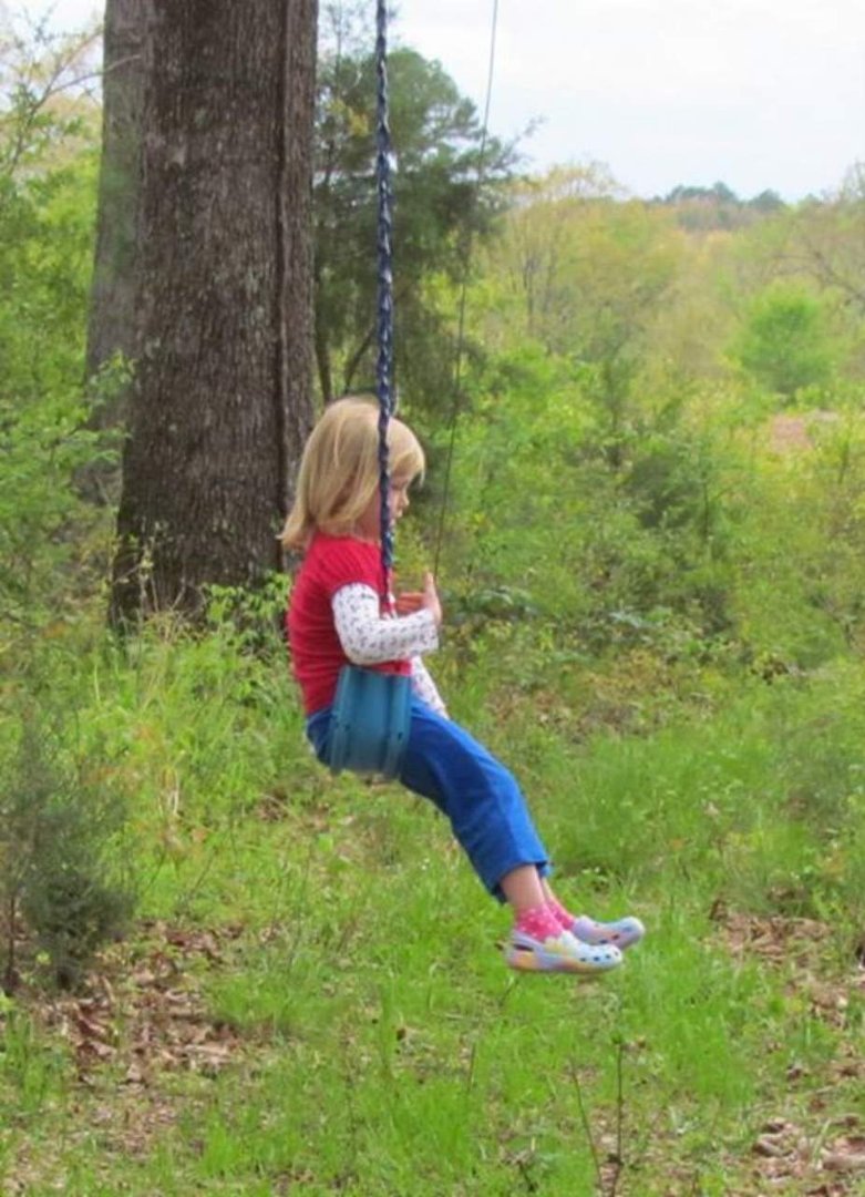 suzanne allee's album, Zip lining at Aunt Laverne's