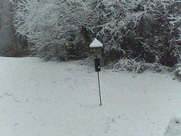 Carol Koob's album, Snow in Atlanta