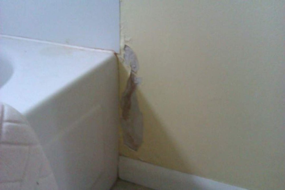 Donna Hushower's album, Mobile Uploads