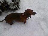 Susan White's album, Timeline Photos