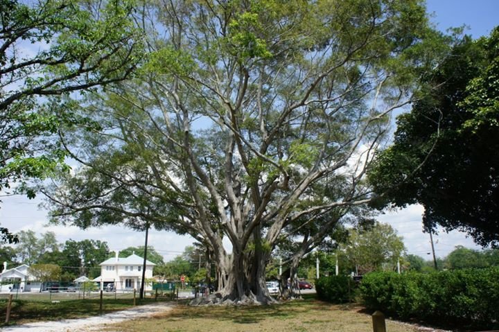 Vicky Chalk's album, 4/13 visit to Fort Meyers