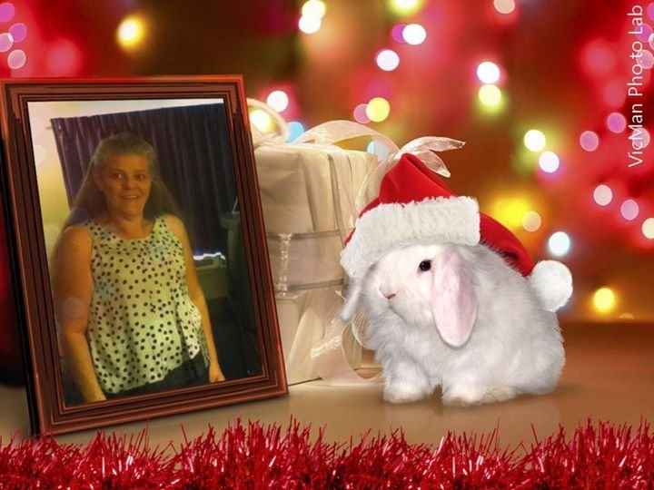 Cindy Ward's album, Mobile Uploads
