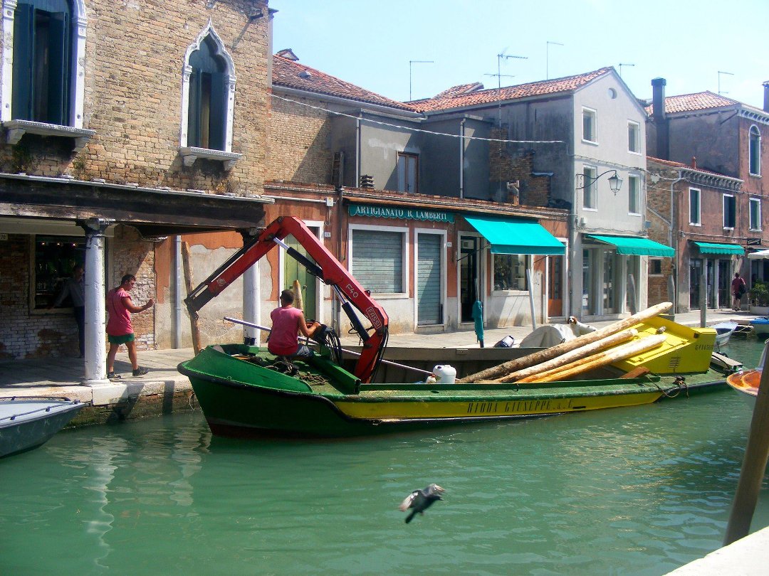 David Haynes' album, Venice