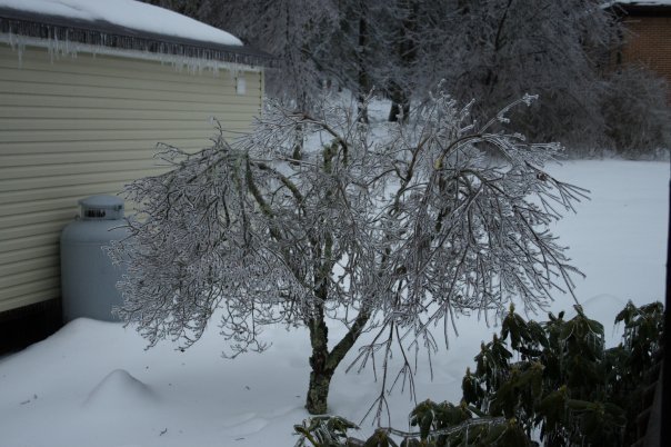 James Wicker's album, Christmas Ice Storm 2009