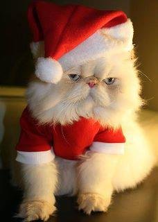 Robin Jeffries' album, Timeline Photos