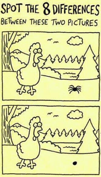 Matt Cameron's album, Timeline Photos