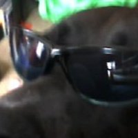 brennan ryan's album, Profile Pictures