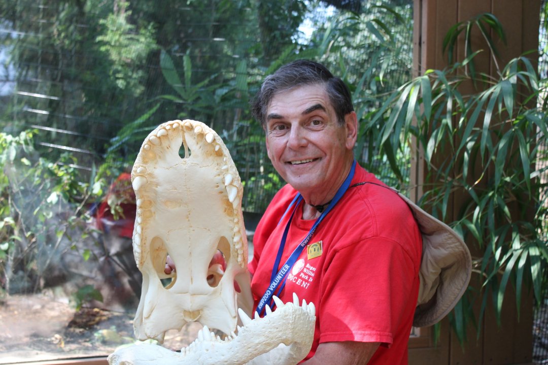 Stephen Alfieri's album, Profile Pictures