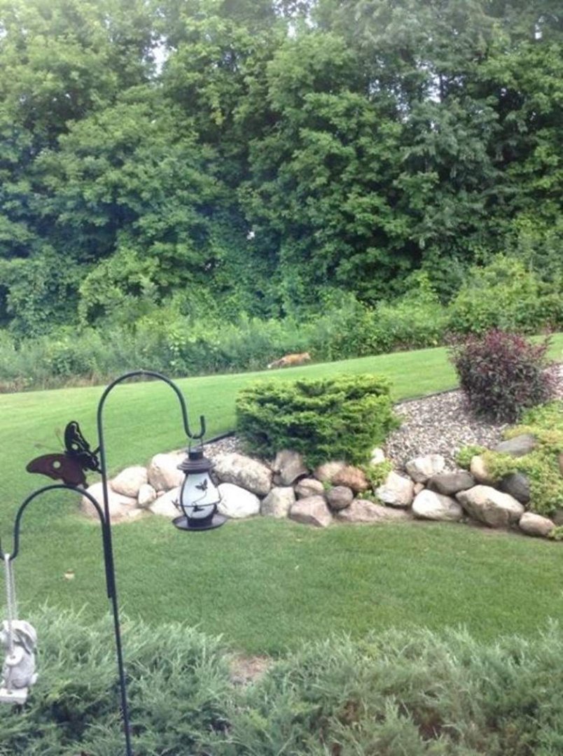 Julie Mangine's album, iOS Photos