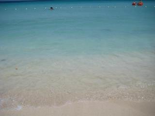 Patsy Bain's album, Our Jamaica Trip 2012