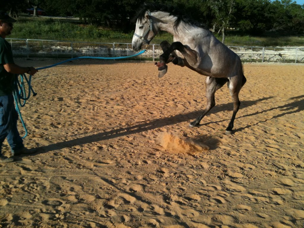 Tracey Addington's album, Cover Photos