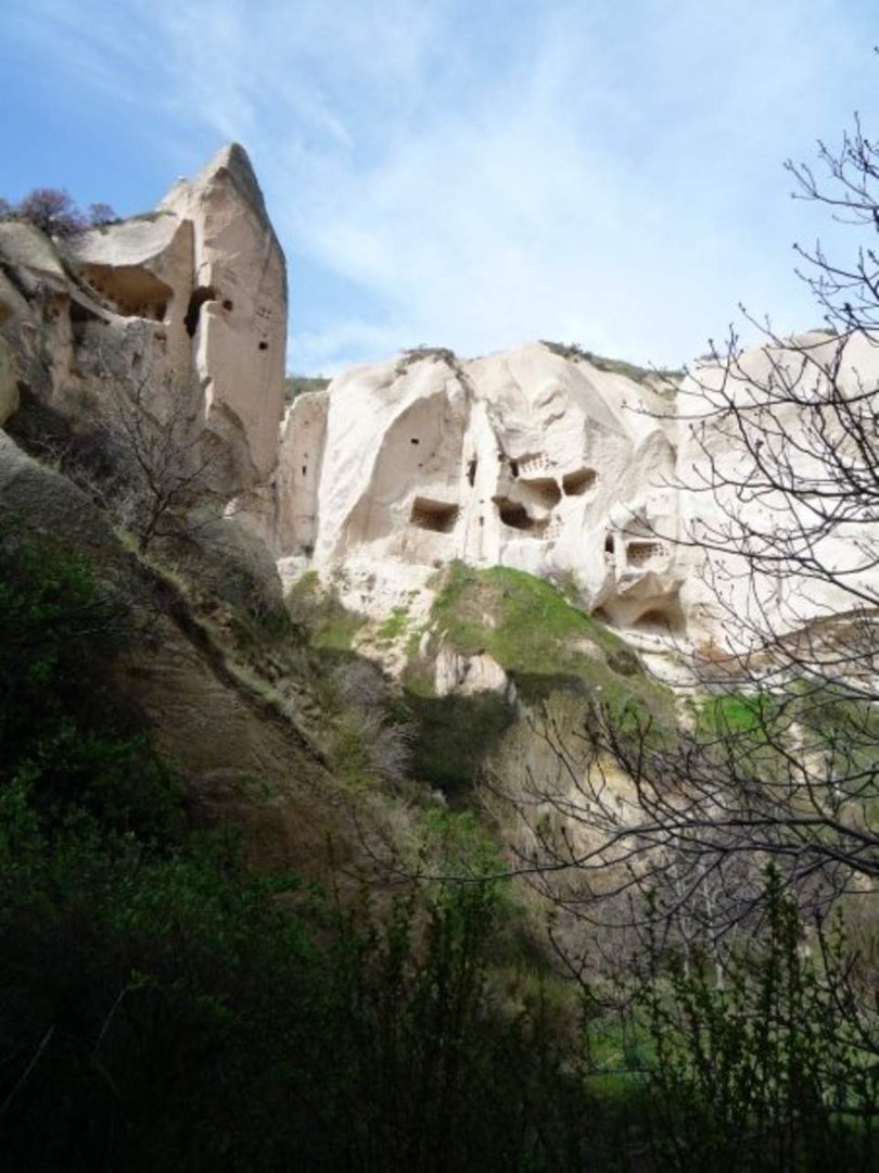 Tracy Cunningham's album, turkey