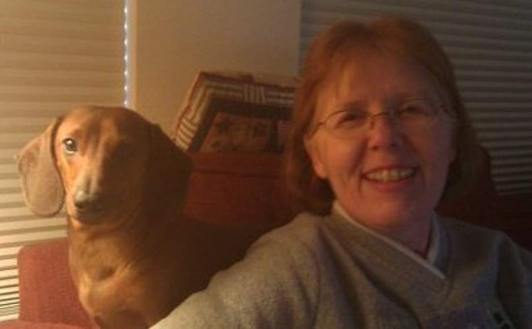 Janice Stacy's album, Profile Pictures