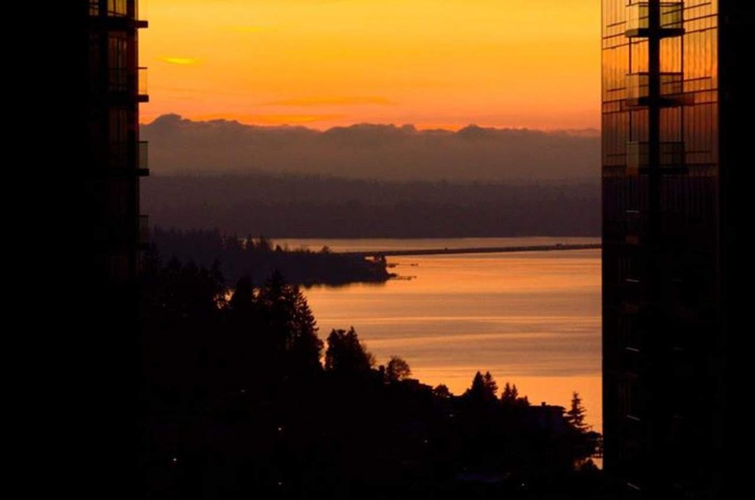 Adam Harrison's album, Cover Photos