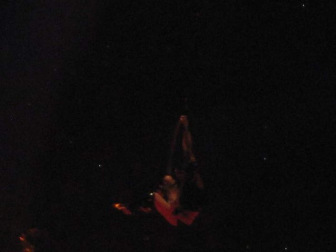 Alyssa Perry's album, Britney Spears Concert