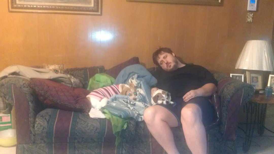 Billy Harrison's album, Mobile Uploads