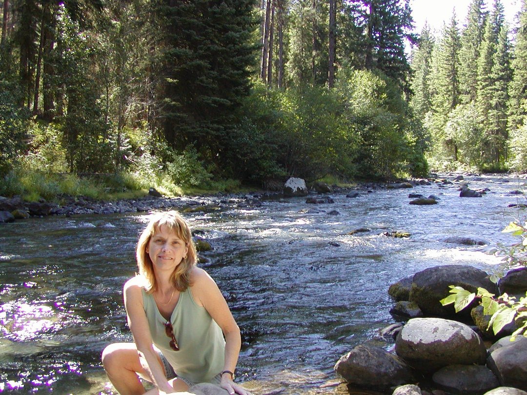 Susan Baugh's album, Profile Pictures