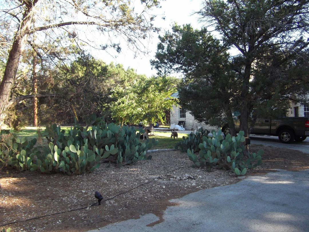 Kim Dierickx's album, Casa Del Dierickx