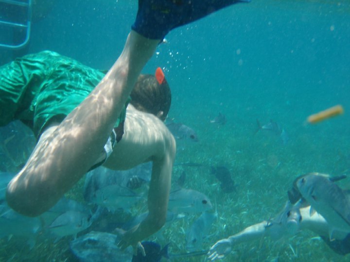Scott Avery's album, Belize April 2010