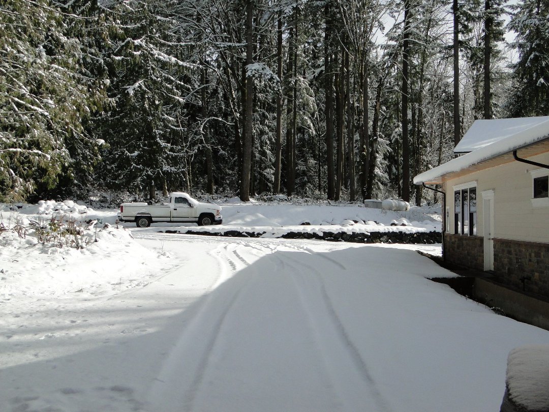 Coralee Green's album, Snow 2/2011