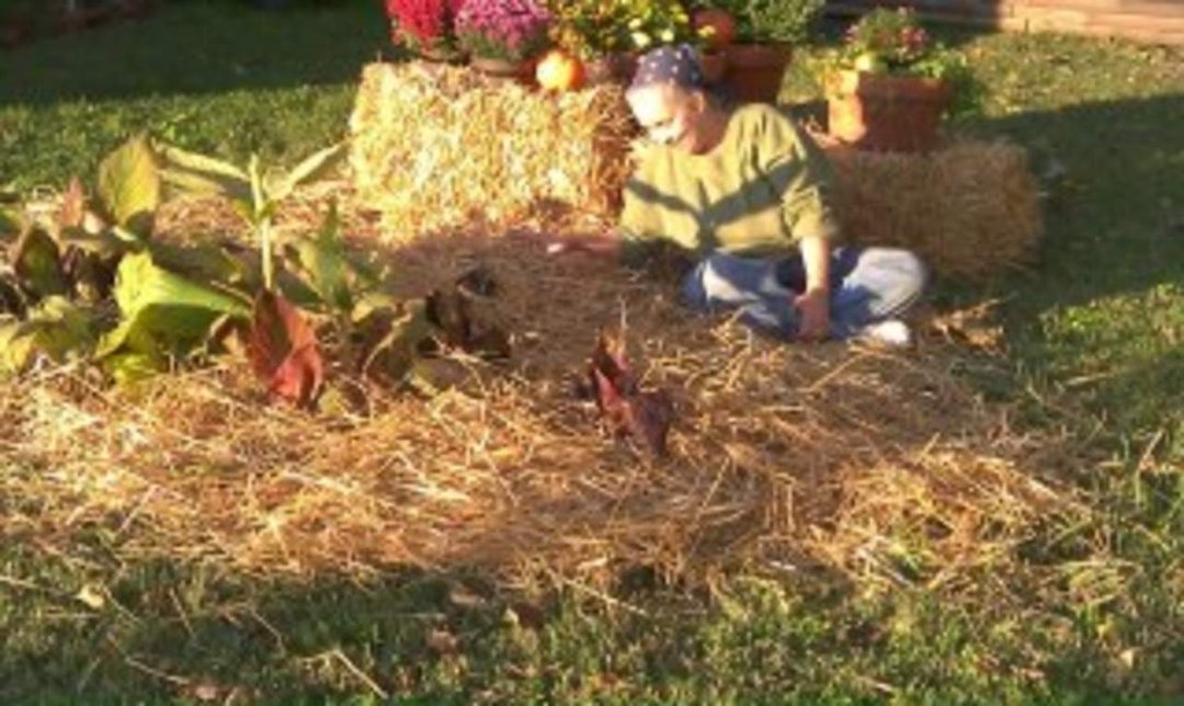 Lori Smith's album, Yay, Autumn Yard Display!