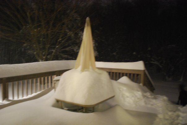 Donna Greenwald's album, winter wonderland