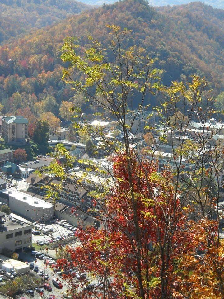 Candy Perez's album, Gatlinburg 2011